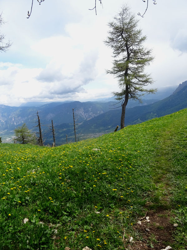 Cima Marzola, quota 1738 e quota 1736 m.